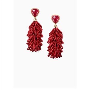 Reva Tassel earrings